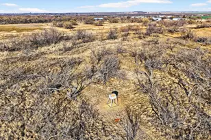 160 L C Young Rd, Graham, TX 76450 - Photo 36