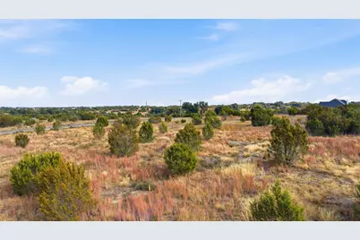 124 Gilmore Court, Lipan, TX 76462 - Photo 2