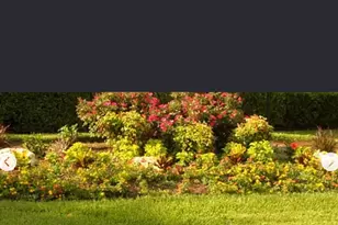 1101 Calico Ln, Arlington, TX 76011 - Photo 20