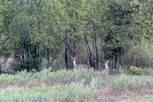 915 Old Stephenville Rd, Hico, TX 76457 - Photo 2