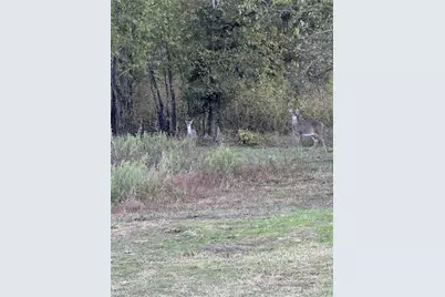 915 Old Stephenville Road, Hico, TX 76457 - Photo 4