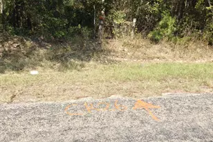 14895 County Rd 26, Tyler, TX 75707 - Photo 1