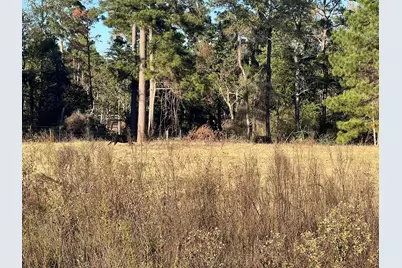 Tbd Pr 1315, Centerville, TX 75833 - Photo 2