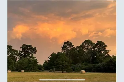 Tbd Pr 1315, Centerville, TX 75833 - Photo 4