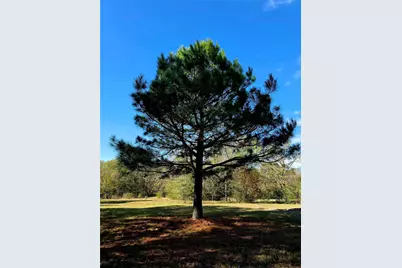 12776 Valverde Loop, Terrell, TX 75161 - Photo 18