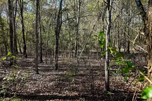 12776 Valverde Loop, Terrell, TX 75161 - Photo 24