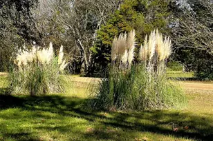 12776 Valverde Loop, Terrell, TX 75161 - Photo 10