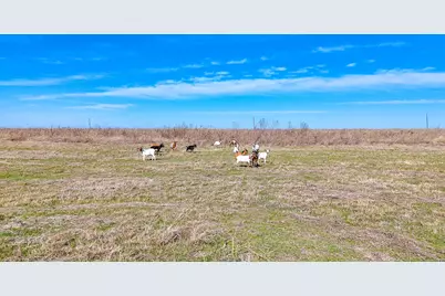 Lot 22 NW Private Road 1270A #Paso Robles, Corsicana, TX 75110 - Photo 2