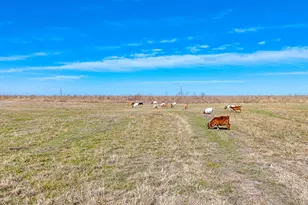 Lot 22 NW Private Road 1270A, Corsicana, TX 75110 - Photo 1