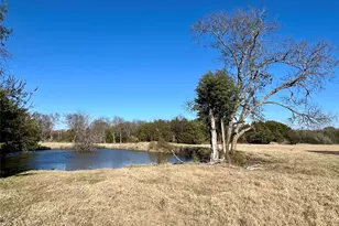 300 County Road 2100 Rd, Seven Points, TX 75143 - Photo 8