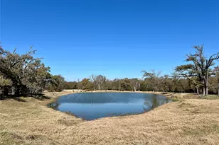 300 County Road 2100 Rd, Seven Points, TX 75143 - Photo 6