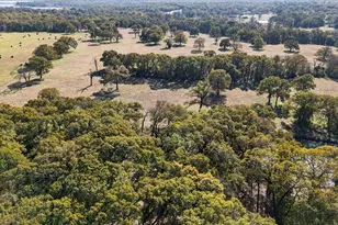 300 County Road 2100 Rd, Seven Points, TX 75143 - Photo 36