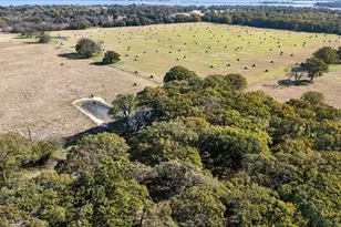 300 County Road 2100 Rd, Seven Points, TX 75143 - Photo 2