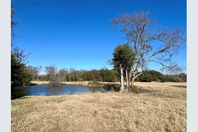 300 County Road 2100 Road, Seven Points, TX 75143 - Photo 8