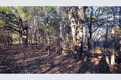 Tbd County Road 4736, Cumby, TX 75433 - Photo 4