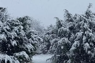 144 Emerald Dr, Weatherford, TX 76087 - Photo 40