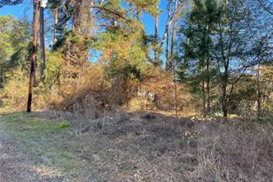 0 Philip Pl, Frankston, TX 75763 - Photo 4