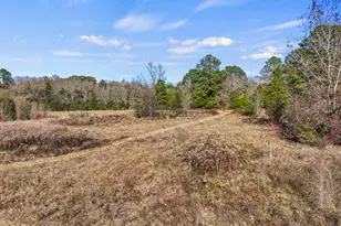 Tbd County Road 2865, Hughes Springs, TX 75656 - Photo 12