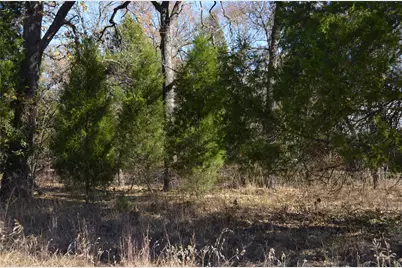 0 Boca Chica, Malakoff, TX 75148 - Photo 1