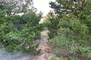 3323 FM3164, Gainesville, TX 76240 - Photo 8