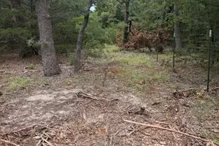 3323 FM3164, Gainesville, TX 76240 - Photo 6