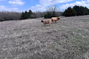 4081 Fm 2736, Campbell, TX 75422 - Photo 1