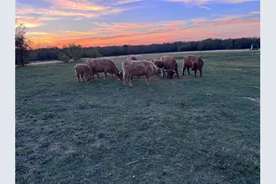 4081 Fm 2736 #D, Campbell, TX 75422 - Photo 14