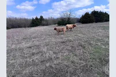 4081 Fm 2736 #C, Campbell, TX 75422 - Photo 1