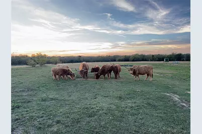 4081 Fm 2736 #B, Campbell, TX 75422 - Photo 6