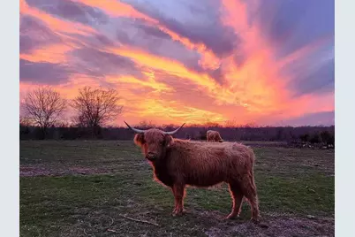 4081 Fm 2736 #B, Campbell, TX 75422 - Photo 8