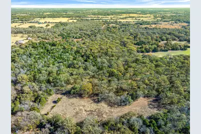 30 (+/-) Acres Vz County Road 2145, Canton, TX 75103 - Photo 10