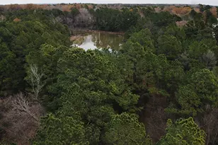 42 Cr 35720, Powderly, TX 75473 - Photo 6