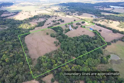 Lot 3 County Road 1155, Brashear, TX 75420 - Photo 4