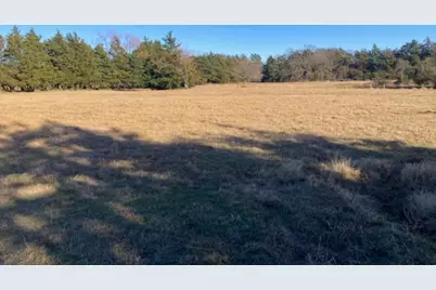 Tbdt Dugan Chapel Road, Bells, TX 75414 - Photo 8