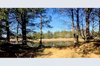 Tbdt Dugan Chapel Road, Bells, TX 75414 - Photo 4