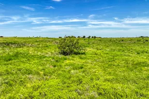 Tbd 24 County Road 1232, Godley, TX 76044 - Photo 1