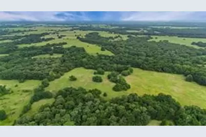 493.52 Ac Rs County Road 4515, Point, TX 75472 - Photo 14