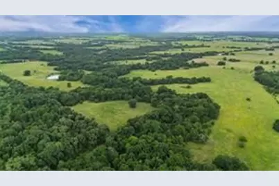 493.52 Ac Rs County Road 4515, Point, TX 75472 - Photo 22