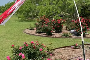 157 Eagle Pass, Royse City, TX 75189 - Photo 36