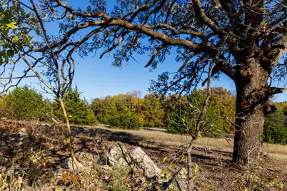 Tract 3 Fm 677, Saint Jo, TX 76265 - Photo 24