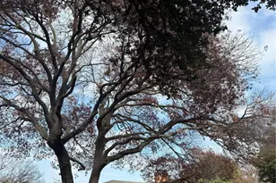 6317 Highgate Ln, Dallas, TX 75214 - Photo 4