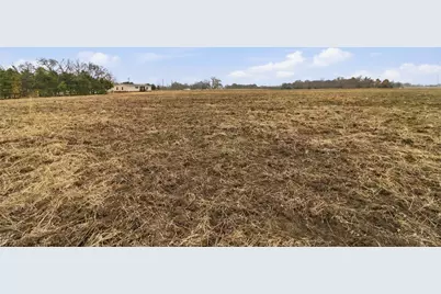 [Address not provided], Farmersville, TX 75442 - Photo 6