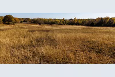 Tract 2 Fm 677, Saint Jo, TX 76265 - Photo 8