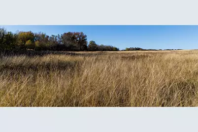 Tract 2 Fm 677, Saint Jo, TX 76265 - Photo 6