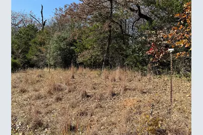 131 Lincoln Drive, Streetman, TX 75859 - Photo 12