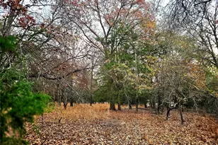 Lot 401 Mallard Way, LaRue, TX 75770 - Photo 4