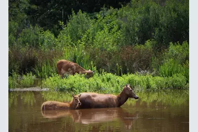 Lot 401 Mallard Way, LaRue, TX 75770 - Photo 22
