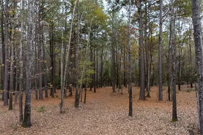 14770 Fm 315, Palestine, TX 75803 - Photo 4