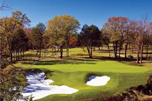 272 Roaring Frk Cir, Gordonville, TX 76245 - Photo 14