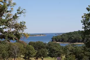 272 Roaring Frk Cir, Gordonville, TX 76245 - Photo 4